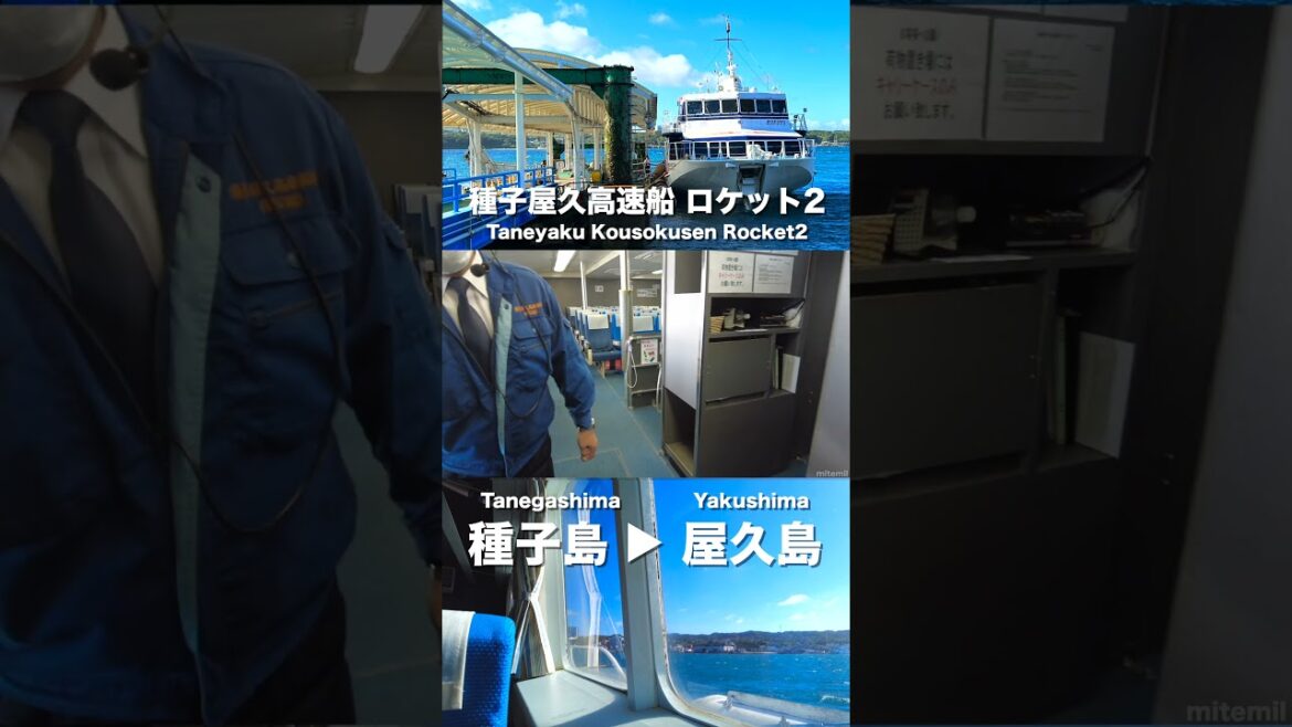 Japan’s jetfoil🛥️🛥️🛥️Taneyaku kousokusen Toppy&Rocket – Rocket2 #shorts #Tanegashima #Yakushima Japan's jetfoil🛥️🛥️🛥️Taneyaku kousokusen Toppy&Rocket - Rocket2 #shorts #Tanegashima #Yakushima