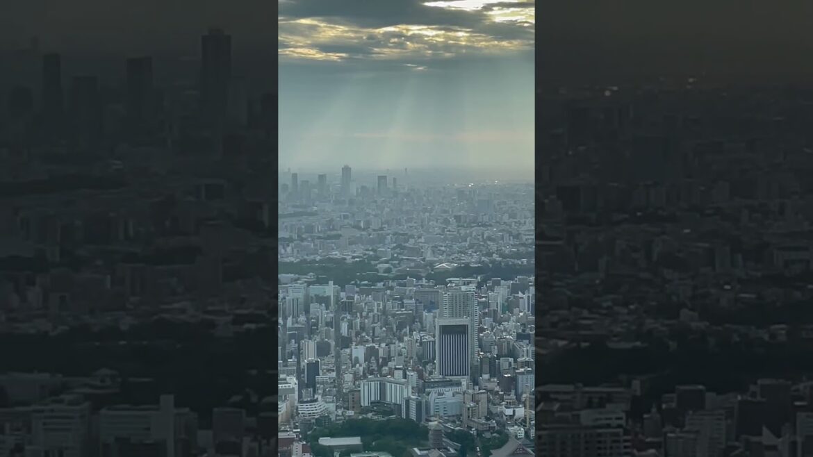 Tokyo Sky tree #tokyo #lovetokyo #asakusa #japan #tokyo2023 #tokyoskytree #晴空塔