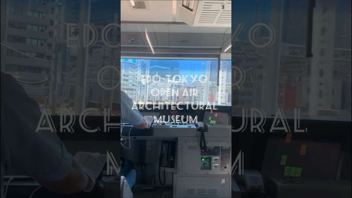 #tokyo #museum #japan #japantravel #travel #summer #holiday #mustgo #traditional #architecture