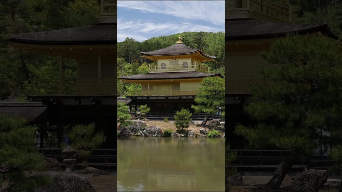 Zen Budism and the Golden Pavilion's Allure Reveal, Kinkakuji, Kyoto, Japan