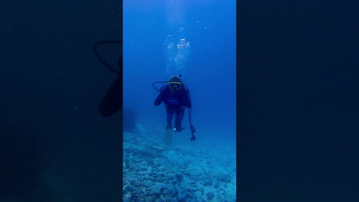 台風直後の爆うねり水納島を潜って安全調査してきた結果。#沖縄 #水納島 #shorts 台風直後の爆うねり水納島を潜って安全調査してきた結果。#沖縄 #水納島 #shorts
