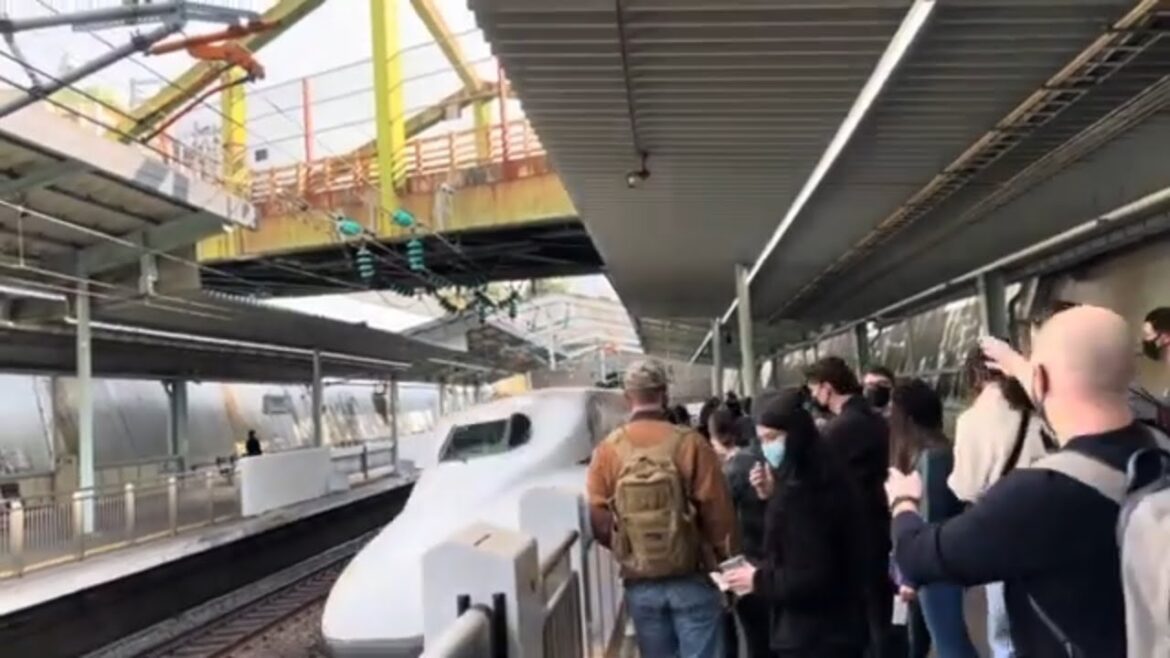 Our first Shinkansen bullet train experience #shinkansen #bullettrains