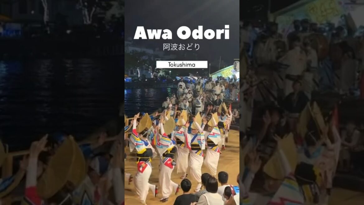 Awa Odori! 🕺 Japanese summer dance festival! Awa Odori! 🕺 Japanese summer dance festival!