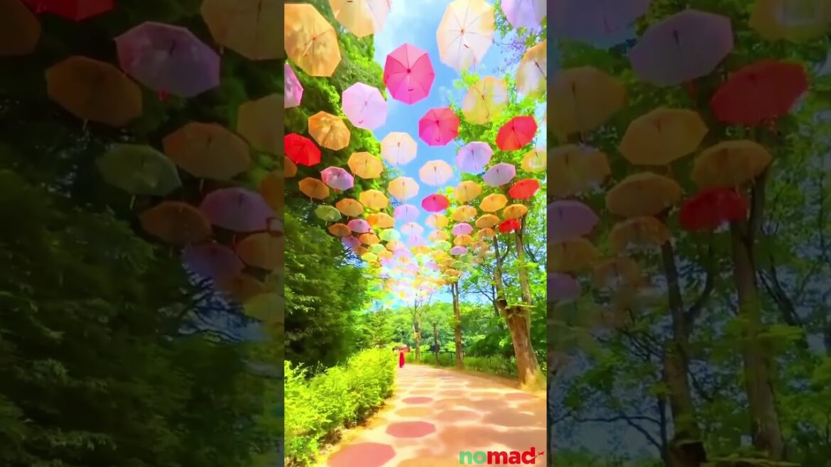 Beautiful Japan 🗾 😍 4k video #shorts #travel #japan #nomad
