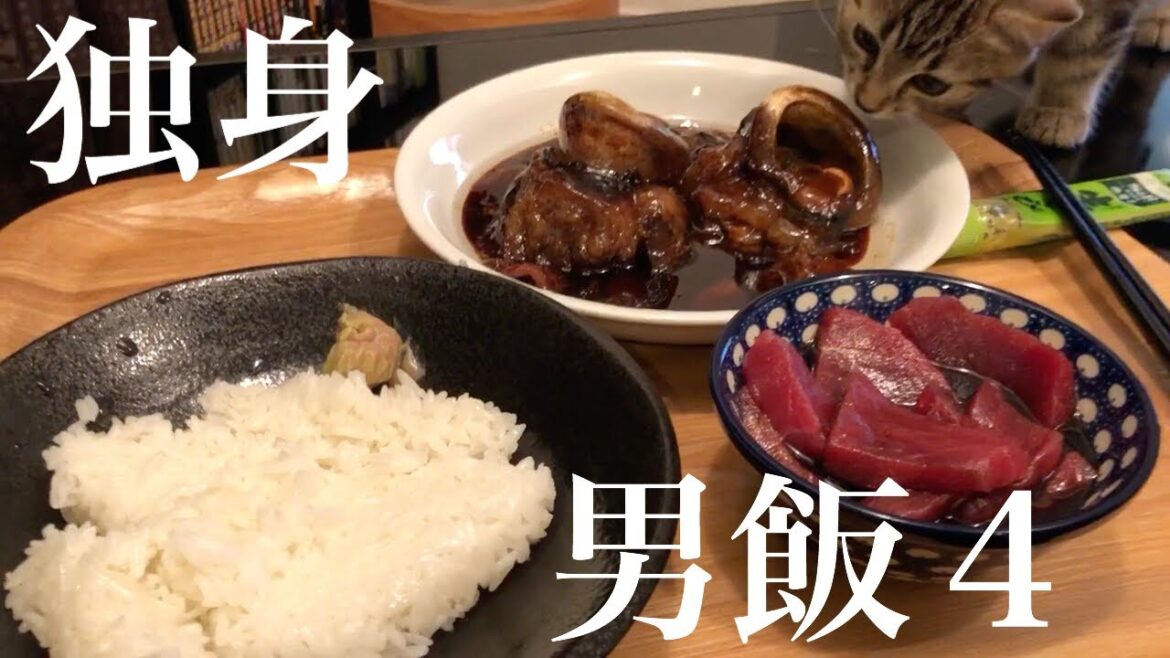 【男飯】初めてマグロ漬丼つくってみたら美味しすぎた#37