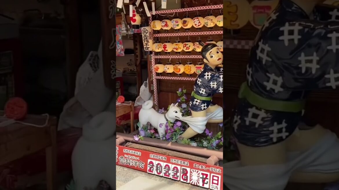 【Kyoto Japan】Please check another video about Kyoto on my channel:)