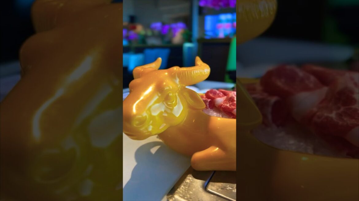 Premium hotpot is it worth the price? #shortsvideo