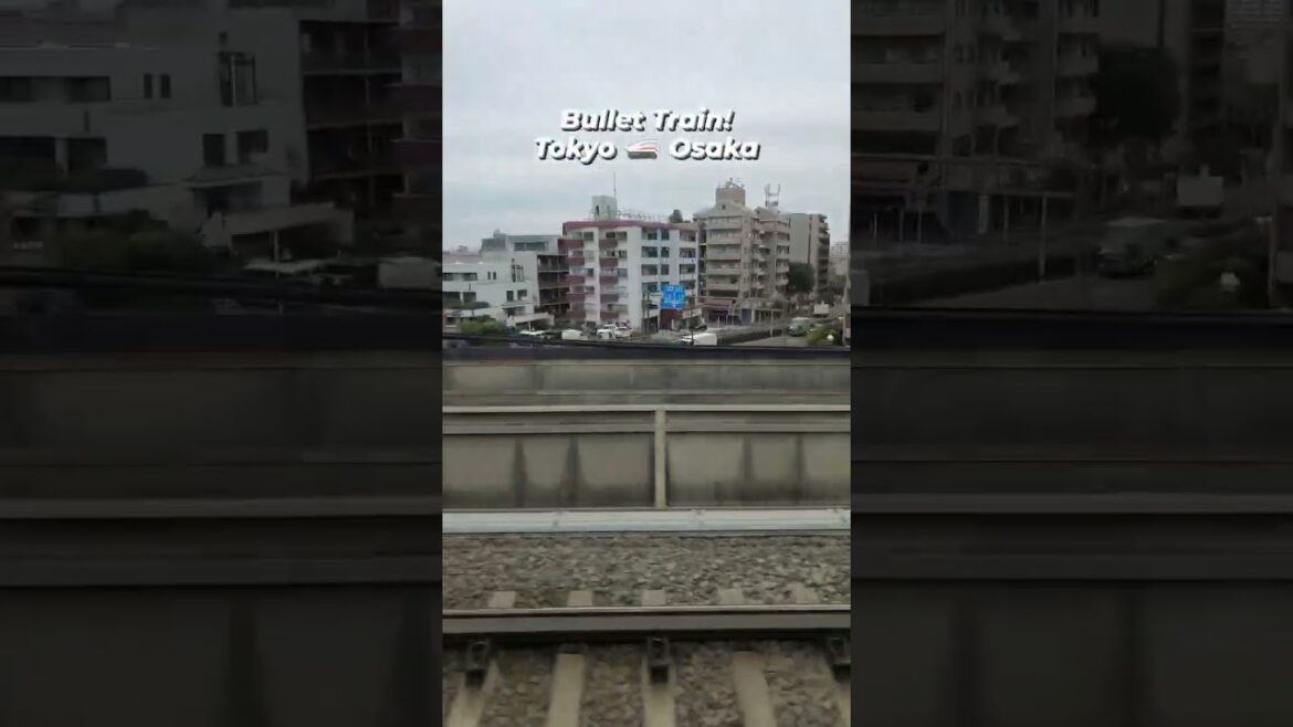 Tokyo to Osaka | #shorts #travel