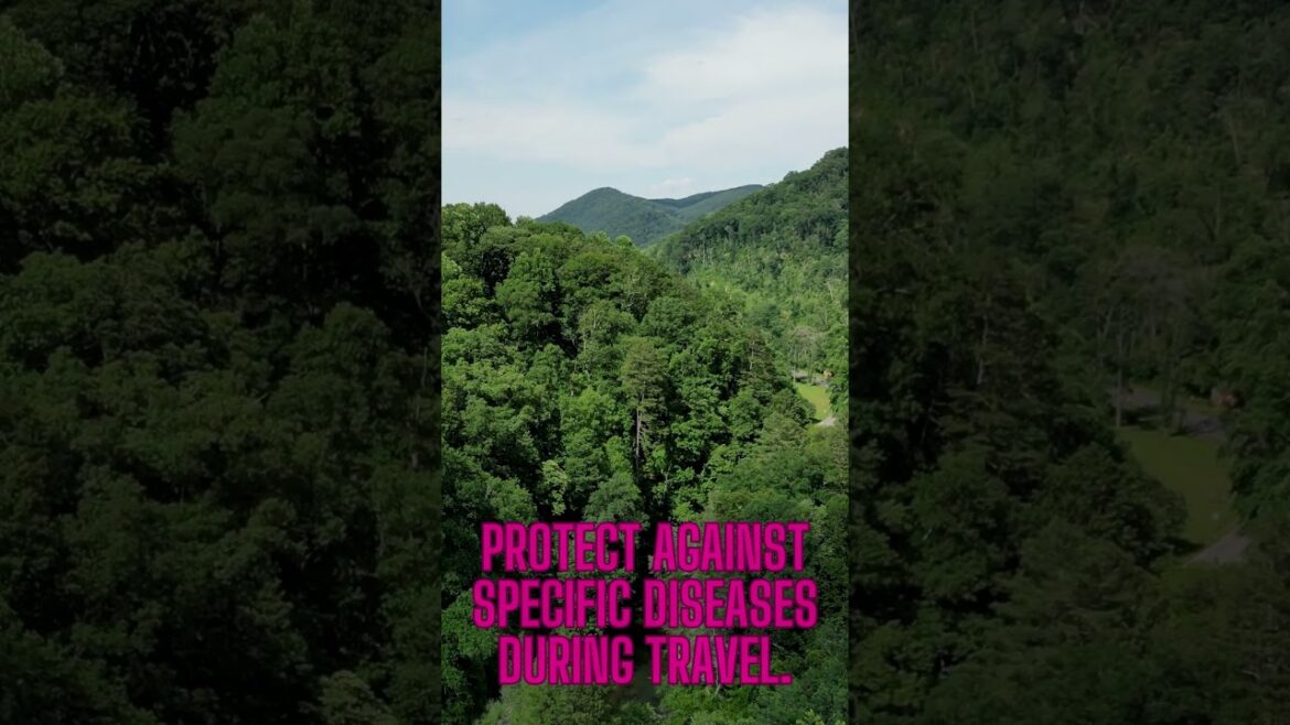 Travel Vlog66| mukbang, freesia park|japan open|weekend vlog