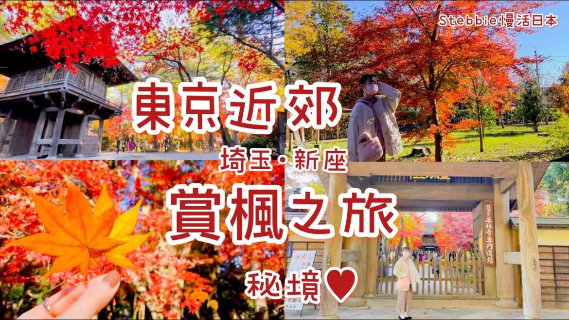 日本人才知道的賞楓秘境！漫天楓紅寺院🍁遇見富士山🗻免費日式庭園紅葉小徑散步🍂國家指定天然記念物樹林🌳好吃天婦羅蕎麥麵🍤遍地松果🐿｜日本旅遊｜Stebbie慢活日本🇯🇵