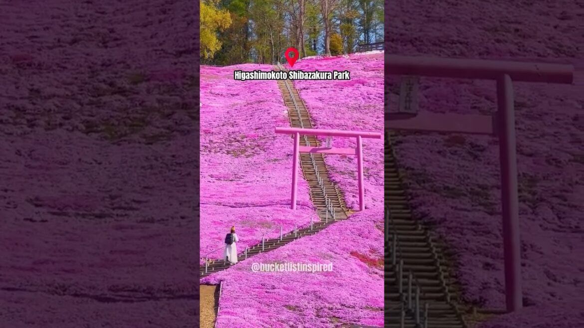Places that don’t feel real in Japan…😀 #travel #viral #tiktok Places that don’t feel real in Japan…😀 #travel #viral #tiktok