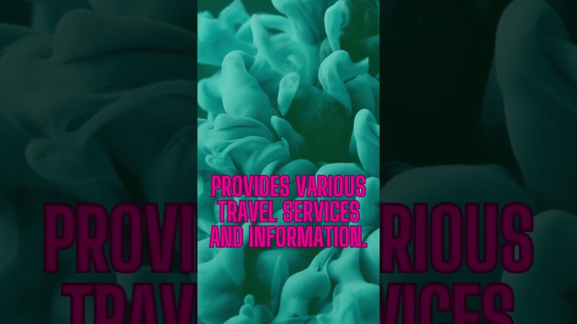 Travel Vlog69|shanghai vlog|weekly vlog|seoul vlog|vlog