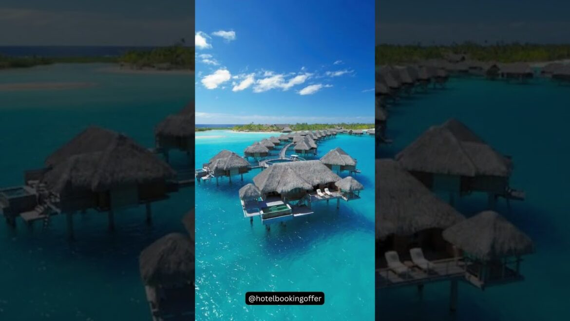 Hotels on Bora Bora, French Polynesia #shorts #borabora #travel #ytshorts Hotels on Bora Bora, French Polynesia #shorts #borabora #travel #ytshorts
