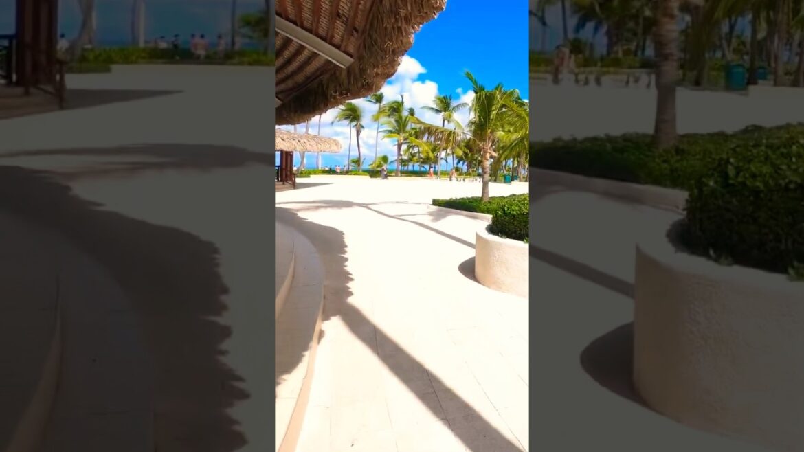 Punta Cana, Dominican Republic 🇩🇴 #shorts #travel #puntacana