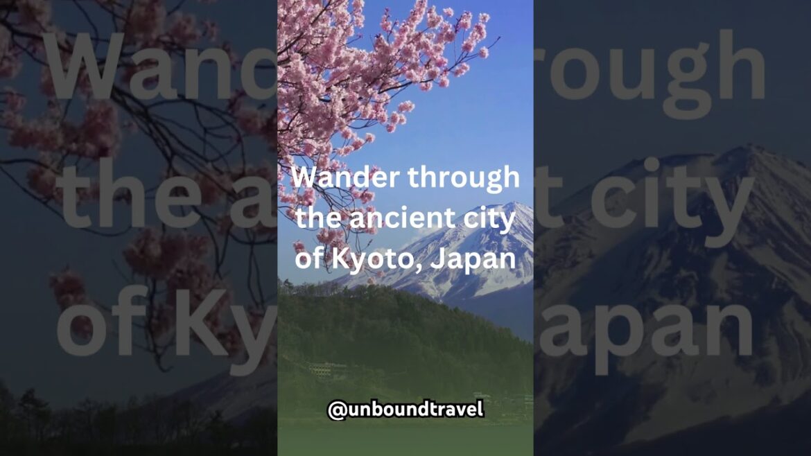 Bucket list approved ✅✈️ #luxury #travel #flight