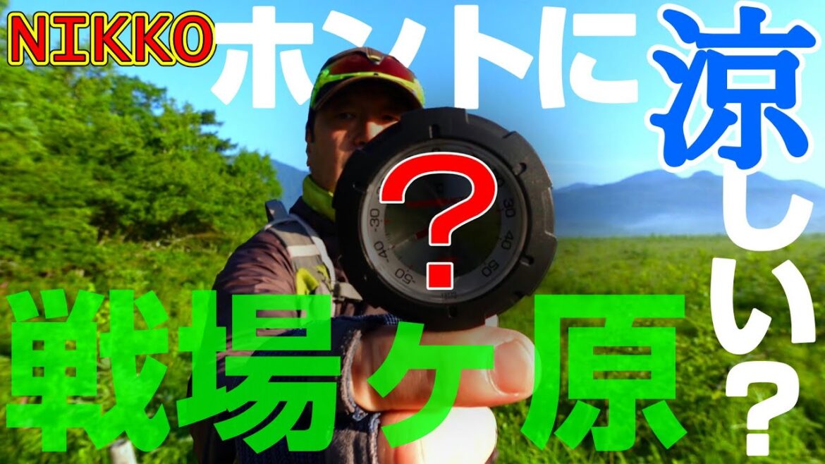 日光【奥日光 戦場ヶ原ハイキング】夏でもホントに涼しい?戦場ヶ原で検証! 日光【奥日光 戦場ヶ原ハイキング】夏でもホントに涼しい?戦場ヶ原で検証!