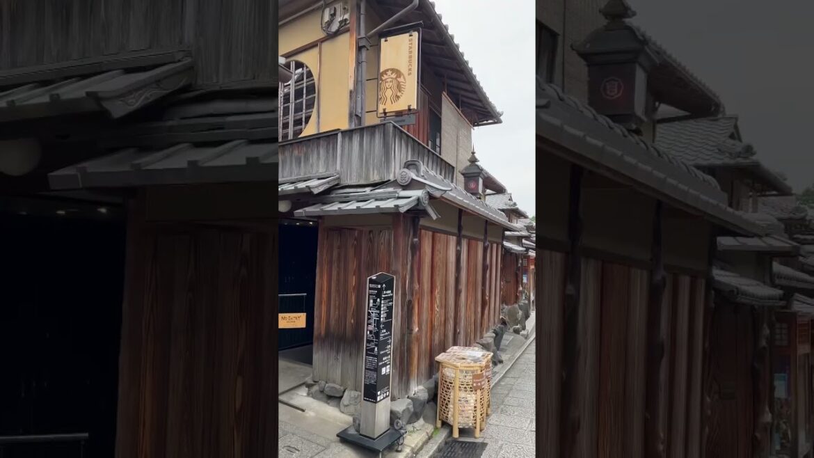 Living the life in #Kyoto #japan #shorts