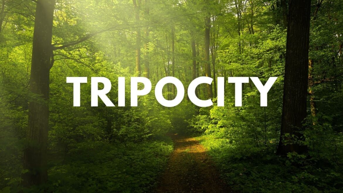 Welcome - Brought to you By TRIPOCITY