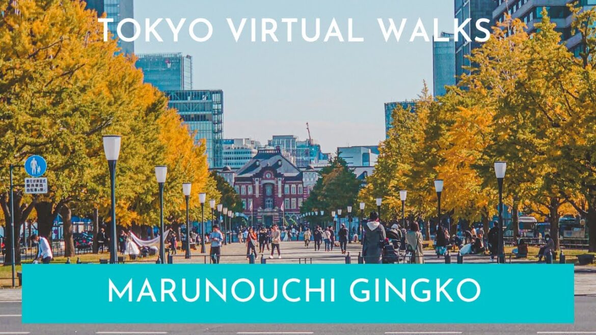Tokyo Virtual Tour | Marunouchi Gingko Trees, Godzilla to Shimbashi &  Shiodome