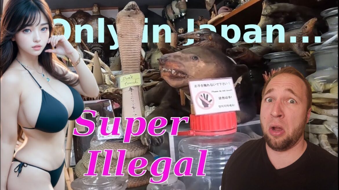 top things to do japan - Tour of ILLEGAL Market Japan