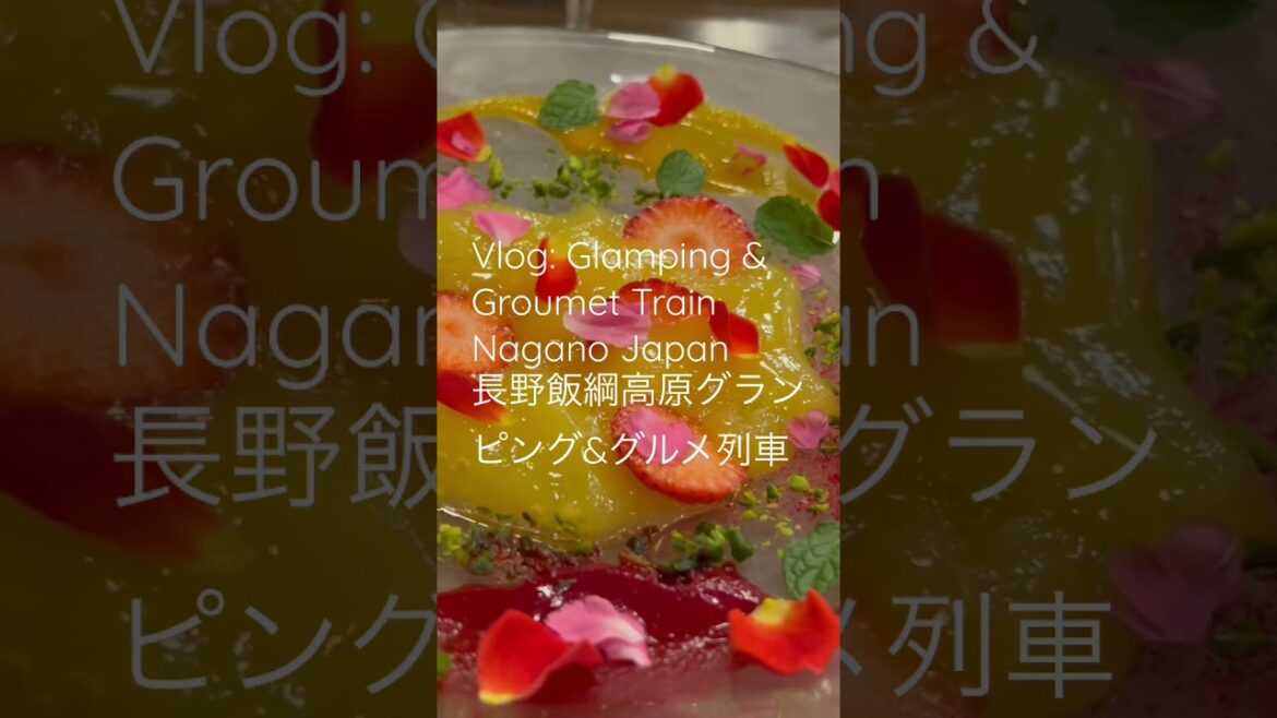 [vlog] Glamping & Gourmet Train  Nagano Japan /長野飯綱高原グランピング&グルメ列車　#shorts #pinkelephant