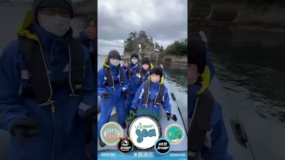 Fast Blast Tour Seafari Japan