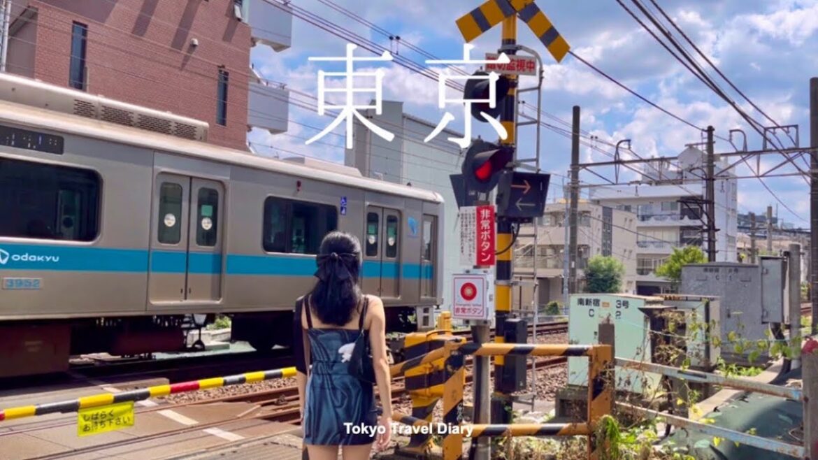 TOKYO TRAVEL DIARY 東京🗼🇯🇵 도쿄 여름 여행 기록 2023