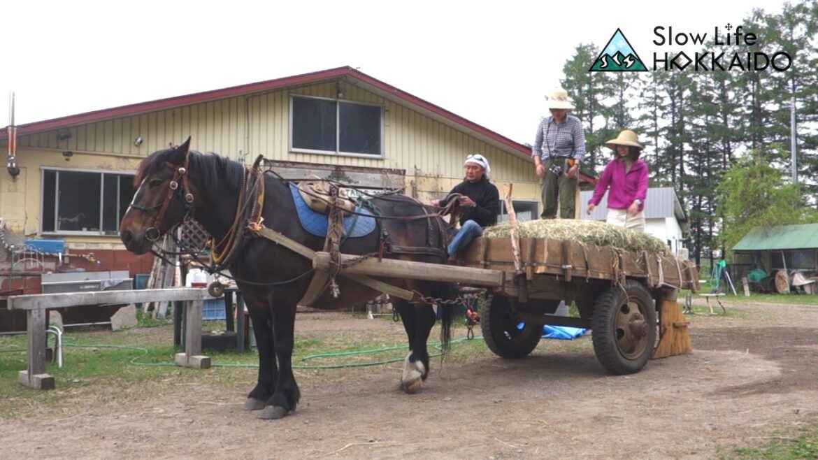 Slow Life Hokkaido - Horse-Drawn Farm Cart Ride