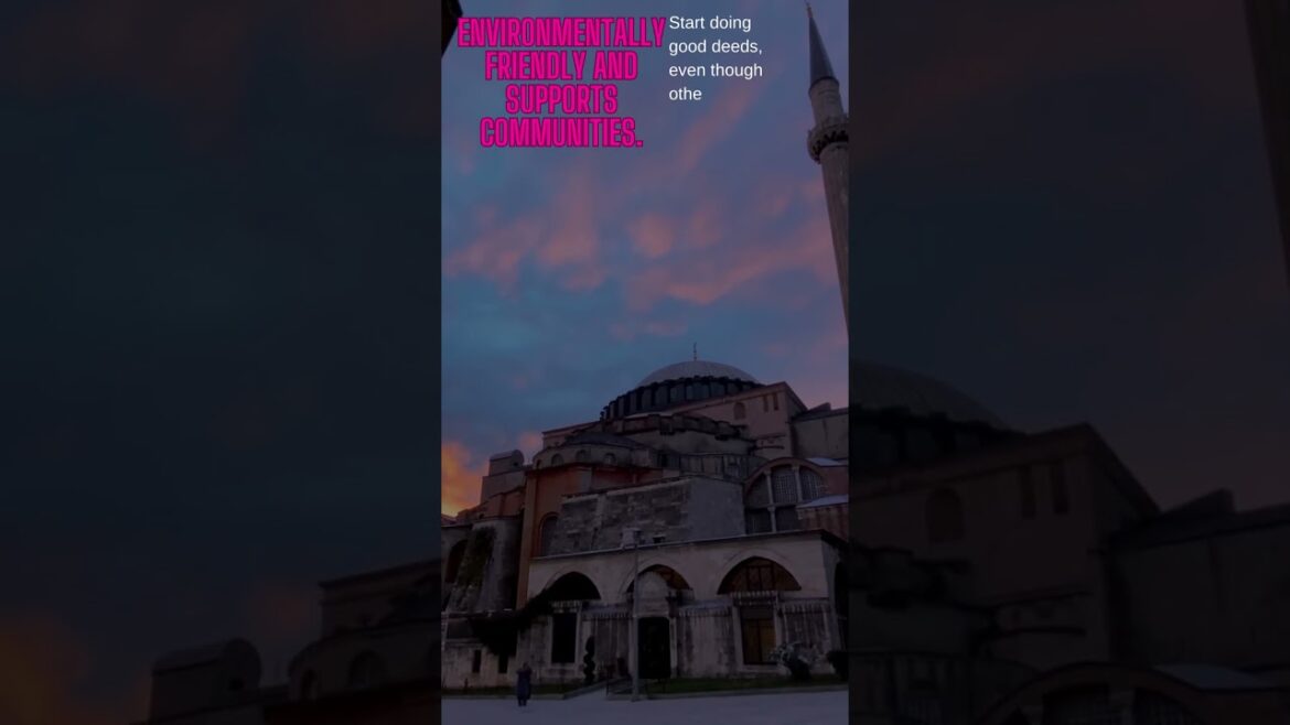 Travel Vlog62 Travel Vlog62