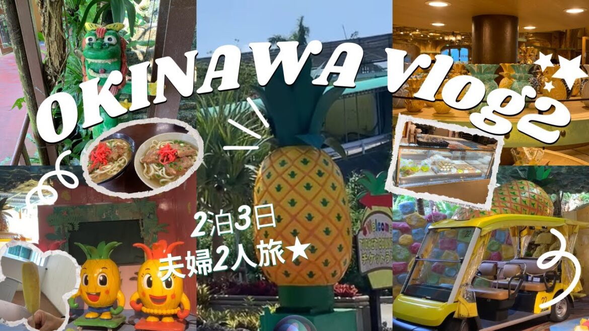 【沖縄Vlog2】2泊3日沖縄旅行🌺自然とグルメで大満喫/パイナップルパーク🍍/元祖ソーキそば/エグゼス那覇宿泊