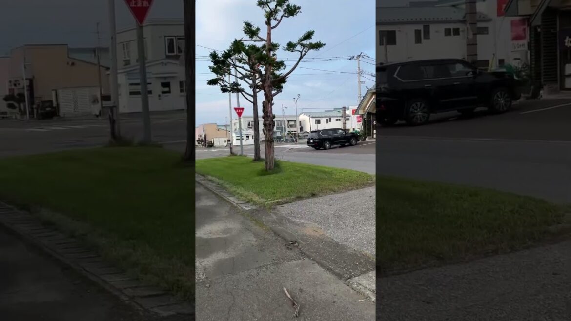 Walk Through Rural Japanese Town in Hokkaido #Bihoro #美幌町 #walkingtour #japanwalk