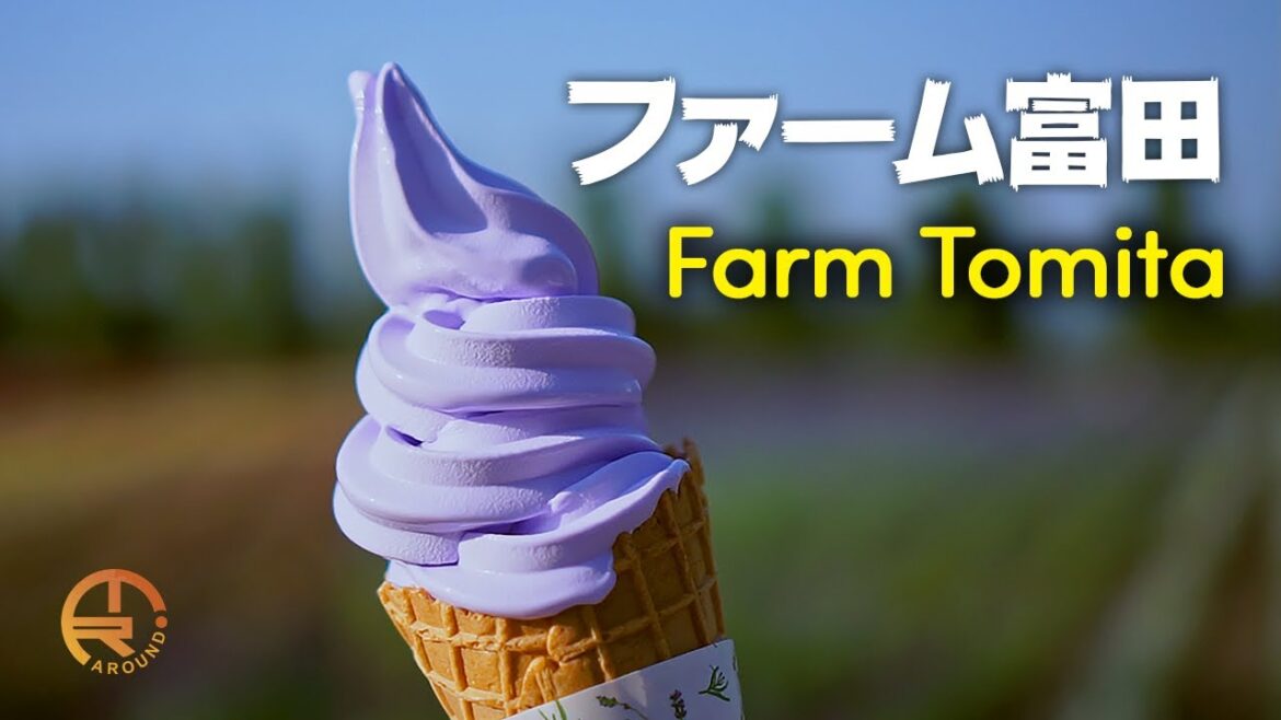 TOMITA FARM: The Heaven for Dessert Lovers, Furano, Hokkaido | ファーム富田 [July]