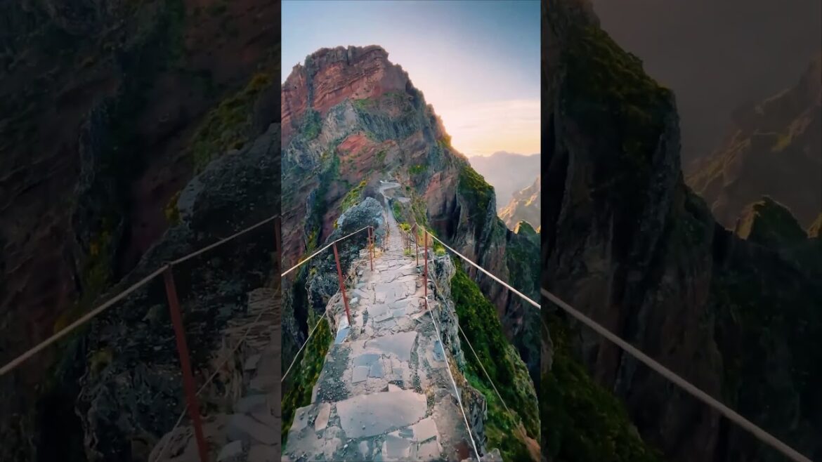 📍 Pico do Arieiro, Madeira, Portugal #shorts #travel #vacation 📍 Pico do Arieiro, Madeira, Portugal #shorts #travel #vacation