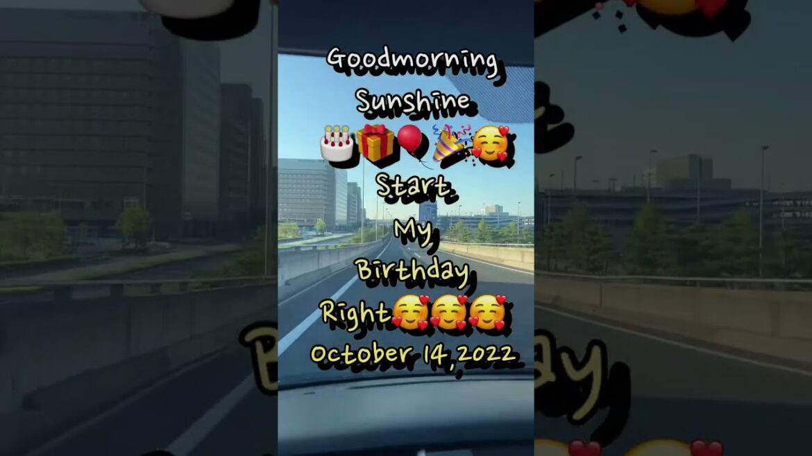 #shorts | See You Later,Okinawa 🇯🇵