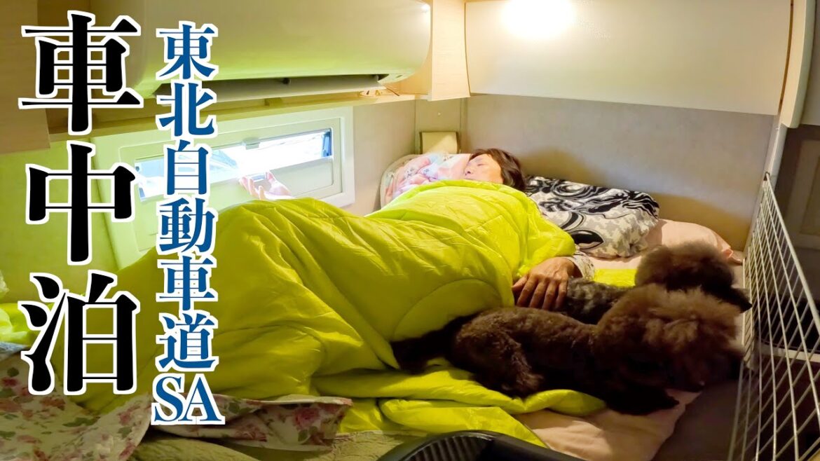 東北道のSAで犬と車中泊して那須の旅: 驚くほど美しい自然と素晴らしい出会い! 東北道のSAで犬と車中泊して那須の旅: 驚くほど美しい自然と素晴らしい出会い!