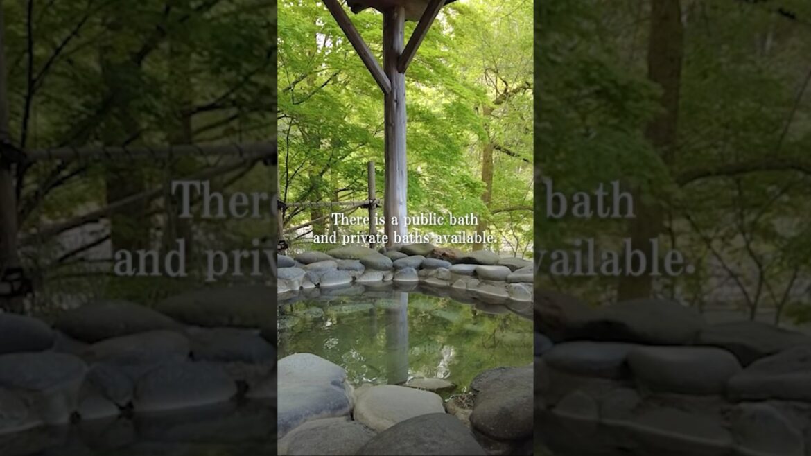 Japanese Onsen Ryokan with Beautiful Garden in Niigata | Rankeiso