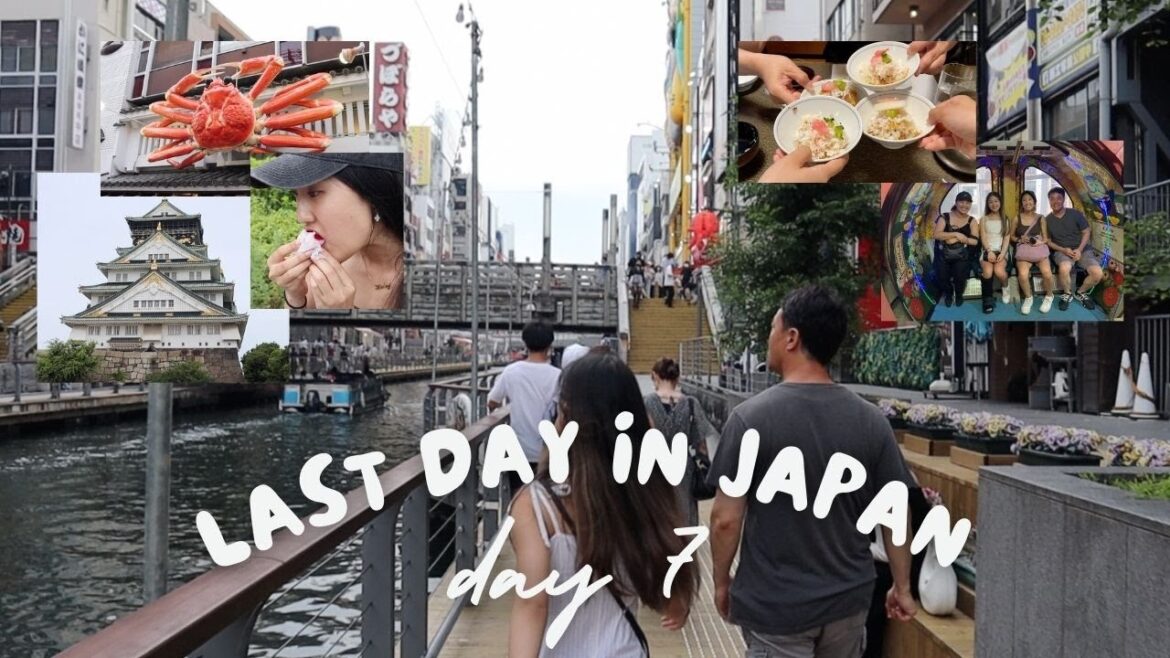 LAST DAY IN JAPAN | Osaka Castle, Don Quixote ferris wheel, crab dinner