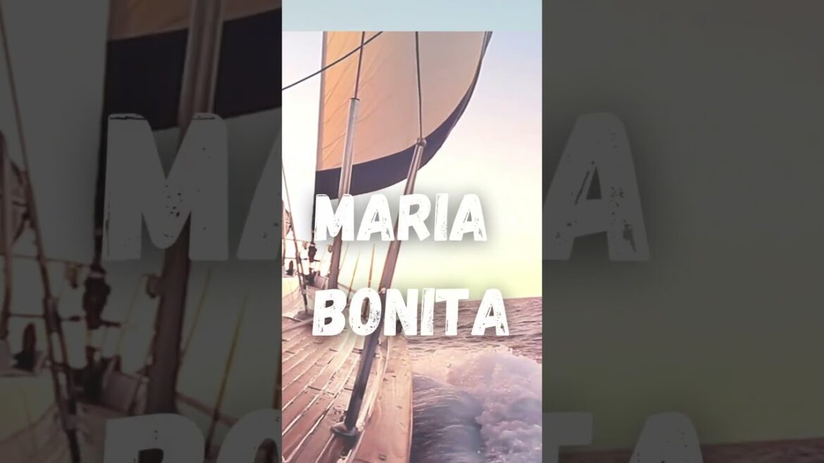 The Top Beaches" #tijuana #mexico #mexicocity #passport #traveltips #shorts #centralamerica