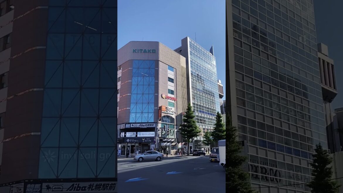 Street in Summer of Sapporo | Hokkaido | Street in Summer of Sapporo | Hokkaido |