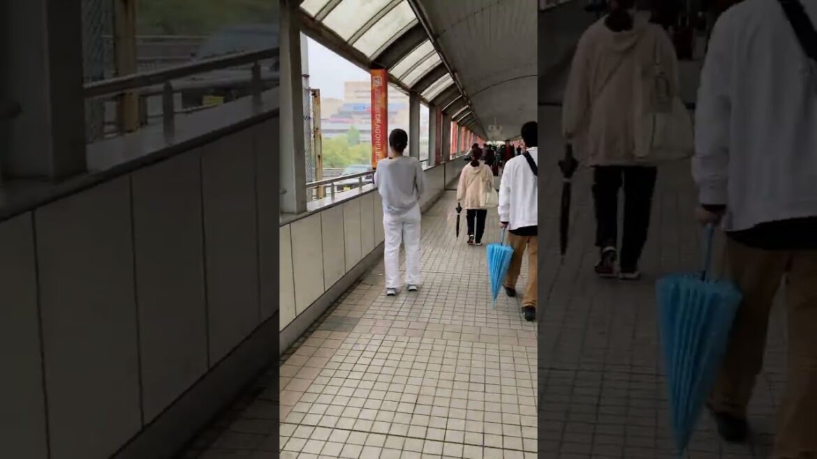 474 Hiroshima Sun Plaza Hall 474 Hiroshima Sun Plaza Hall