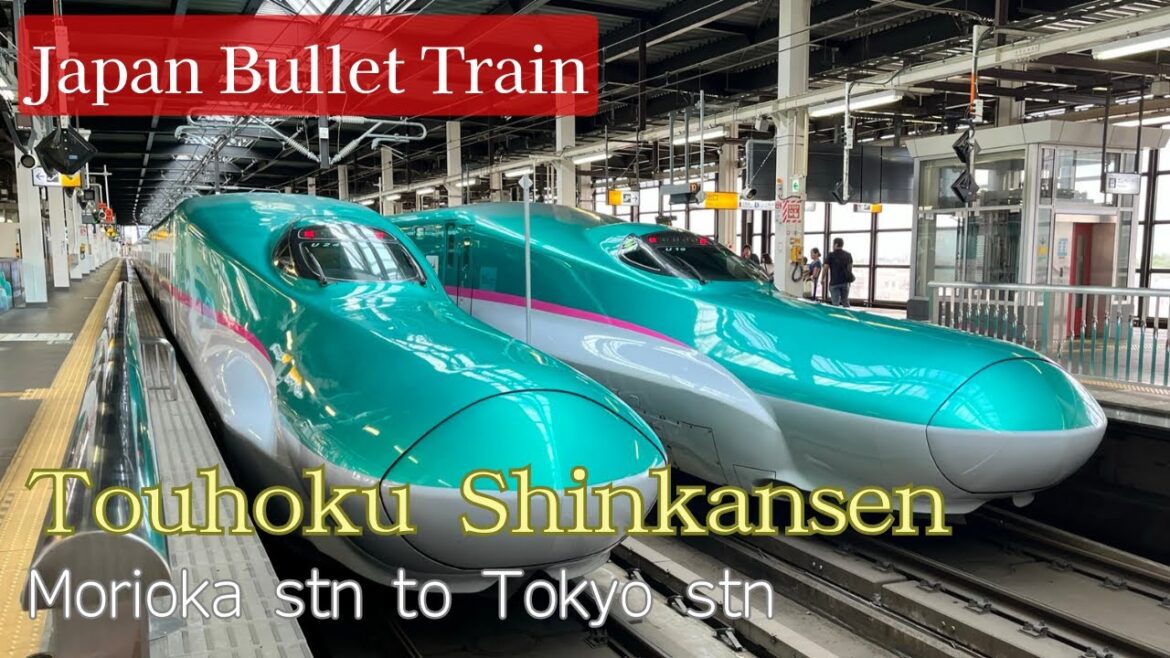 [US$106]Blazing Through Japan: Tohoku Shinkansen's Ultra-Fast Journey!