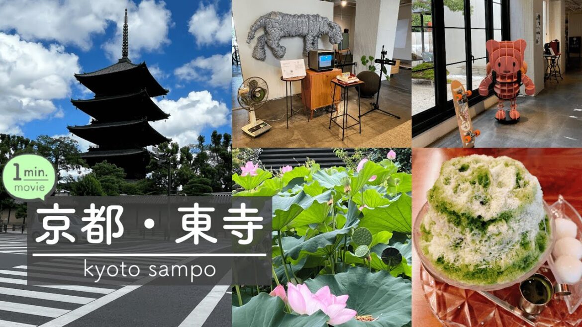お洒落なホテルから世界遺産「東寺」へ【1分で見るおさんぽ動画】アンテルーム京都 / かき氷 / kyoto / trip / temple / travel / world heritage