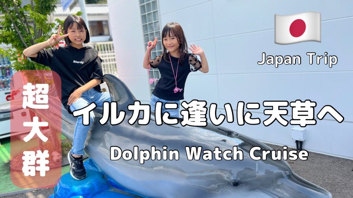 【九州旅行】熊本/天草でイルカウォッチング, dophin watching cruise at Amakusa/Kumamoto 【九州旅行】熊本/天草でイルカウォッチング, dophin watching cruise at Amakusa/Kumamoto