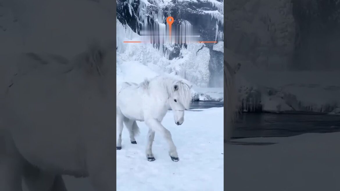 The Largest Spa Town In The World ||Beppu Japan |Beppu jigoku meguri hells tour #japan