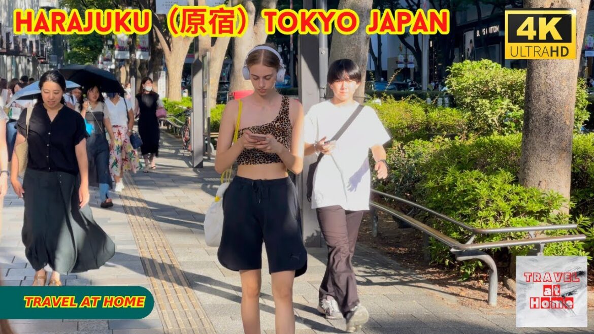 4k hdr japan travel | Walk in Harajuku（原宿）Tokyo japan |  Relaxing Natural City ambience