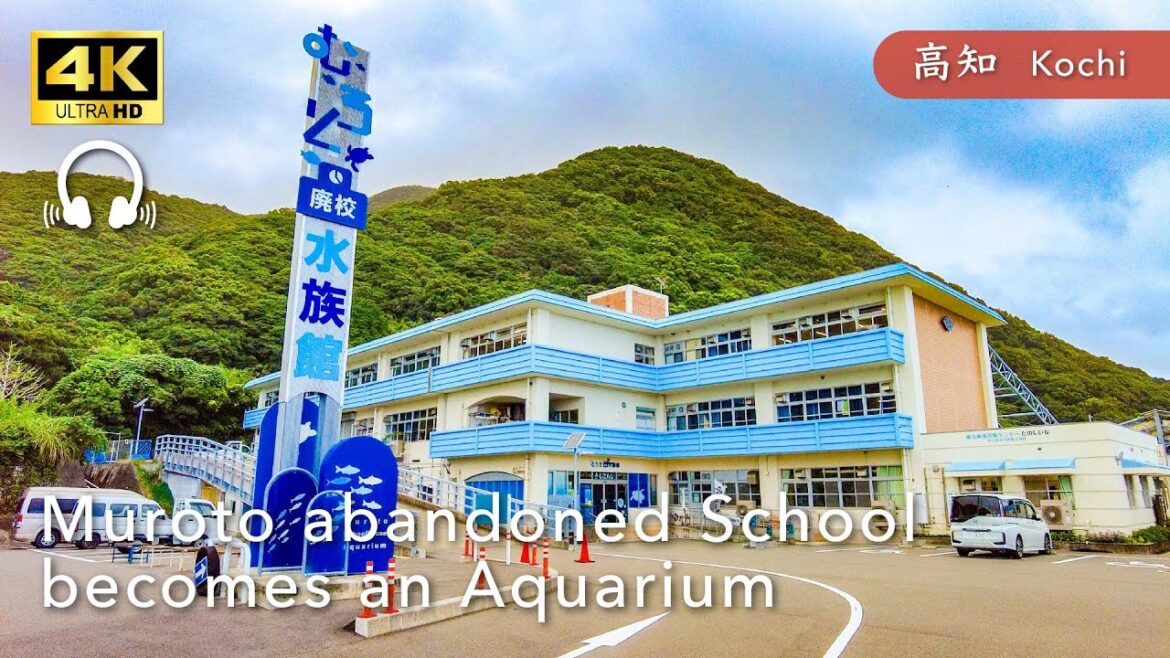 【Kochi💖】Walk Japan - Muroto Abandoned School Aquarium Walk  ASMR 【4K】