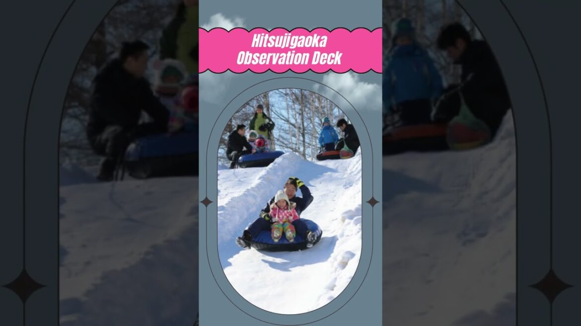 Top Sights In Sapporo #travel #youtubeshorts