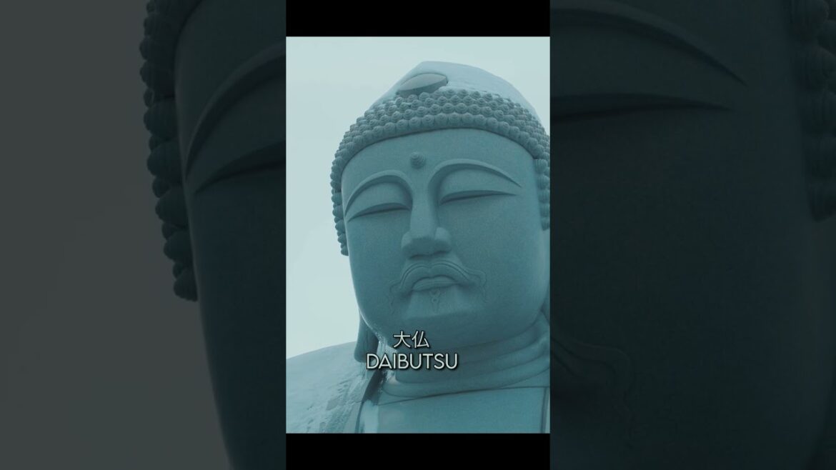 The BEST Winter Experience of My Life in Sapporo, Japan The BEST Winter Experience of My Life in Sapporo, Japan