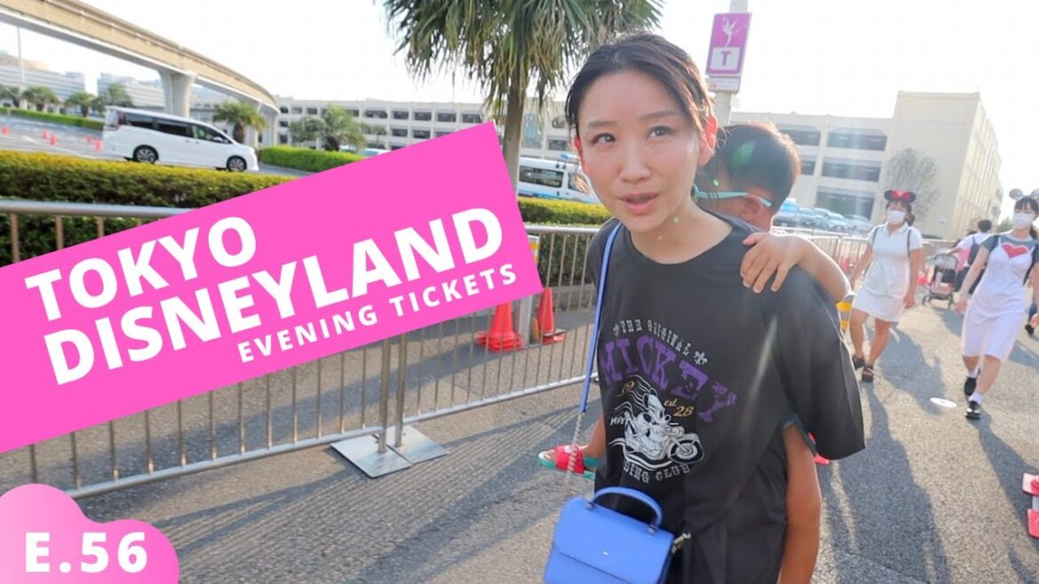 Tokyo Disney After 5PM Tickets E.56 Tokyo Disney After 5PM Tickets E.56