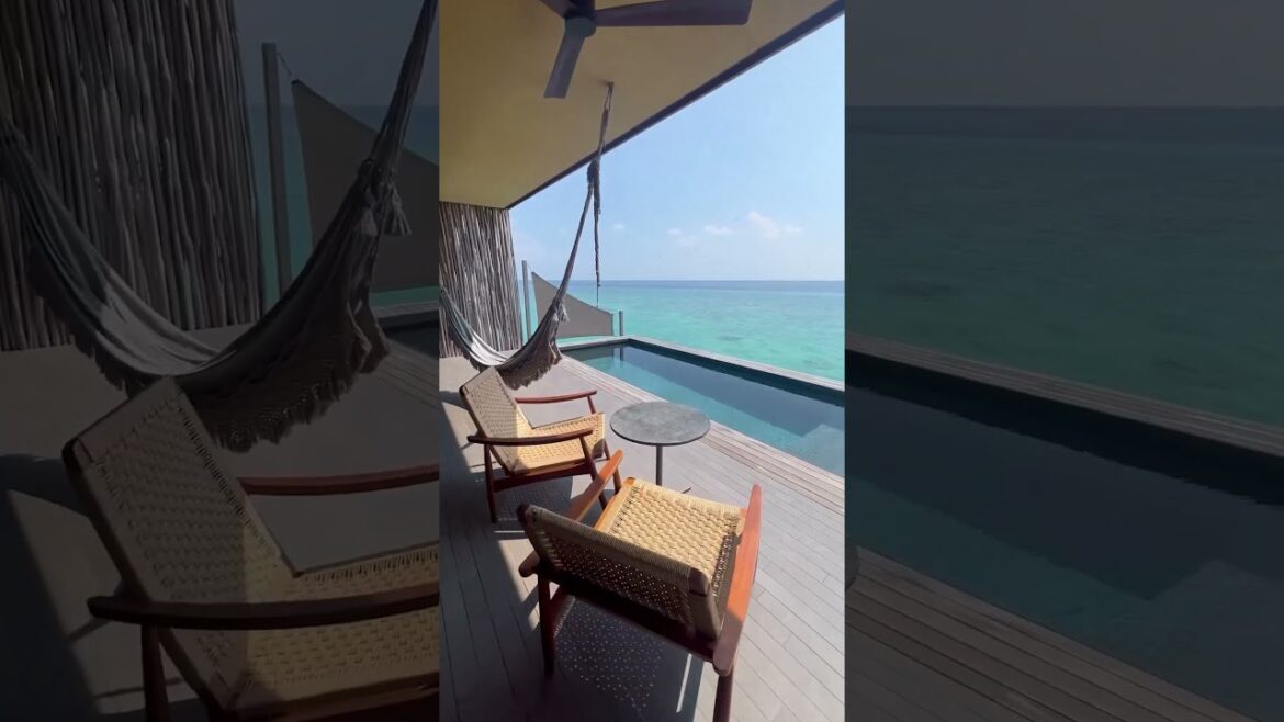 Reminder to treat yourself to a Maldives escape! 😌#shorts #travel #vacation Reminder to treat yourself to a Maldives escape! 😌#shorts #travel #vacation